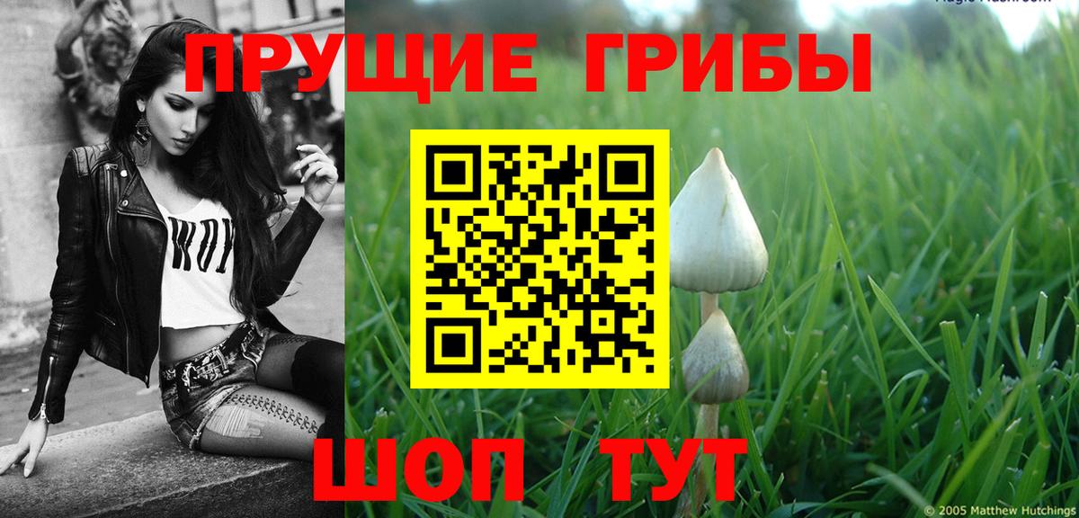Удомля  ГАШИШ  Каннабис  Вход с VPN  Меф МЯУ МЯУ кристаллы 
